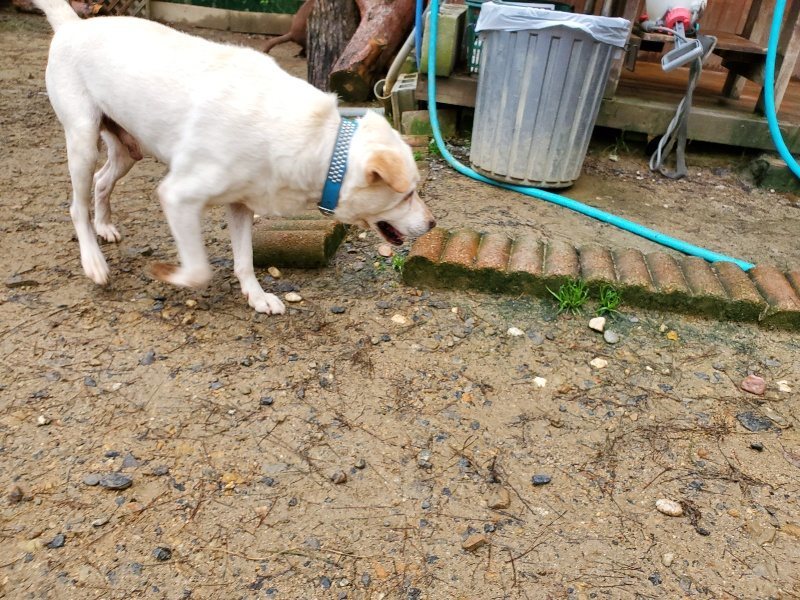 f:id:roukenhome-ann:20191020165410j:plain
