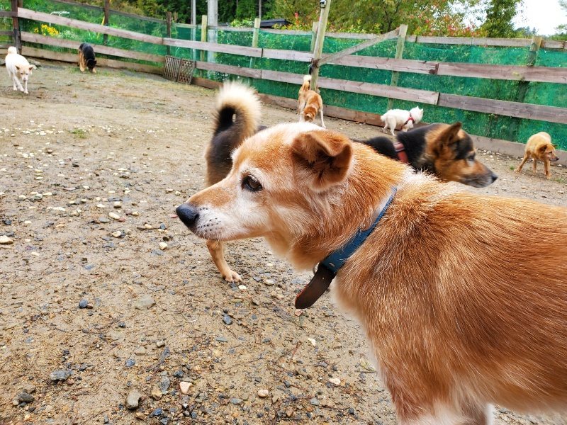 f:id:roukenhome-ann:20191020165457j:plain