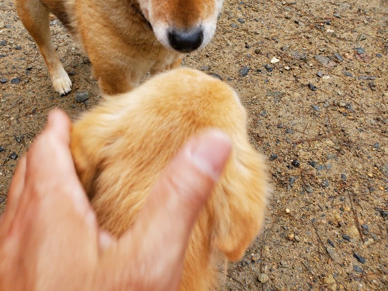 f:id:roukenhome-ann:20191020165531j:plain