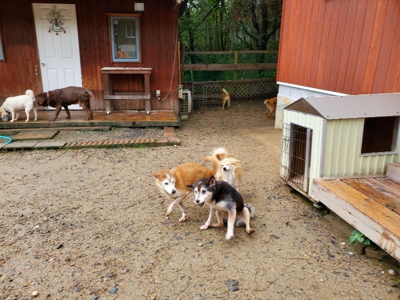 f:id:roukenhome-ann:20191020170644j:plain