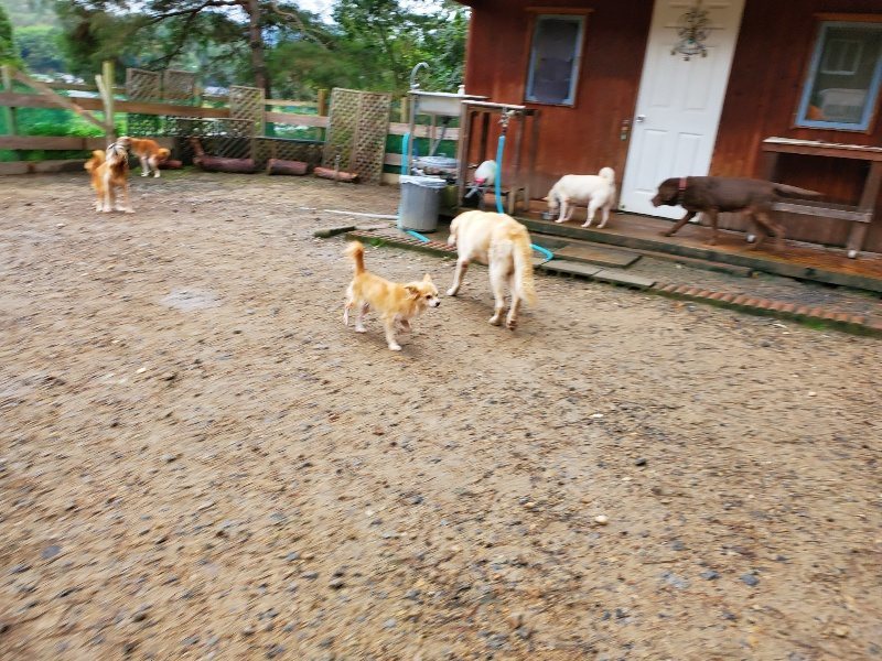 f:id:roukenhome-ann:20191020170700j:plain