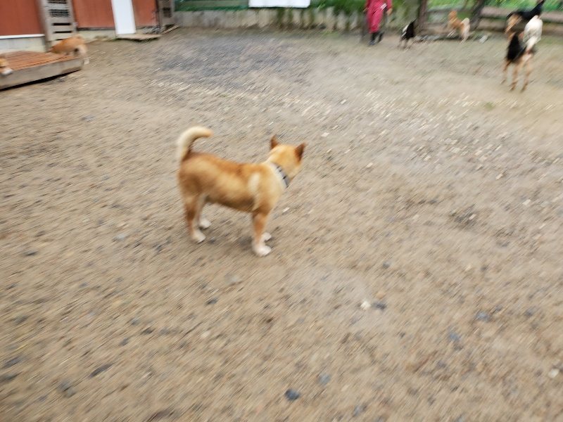 f:id:roukenhome-ann:20191020170719j:plain