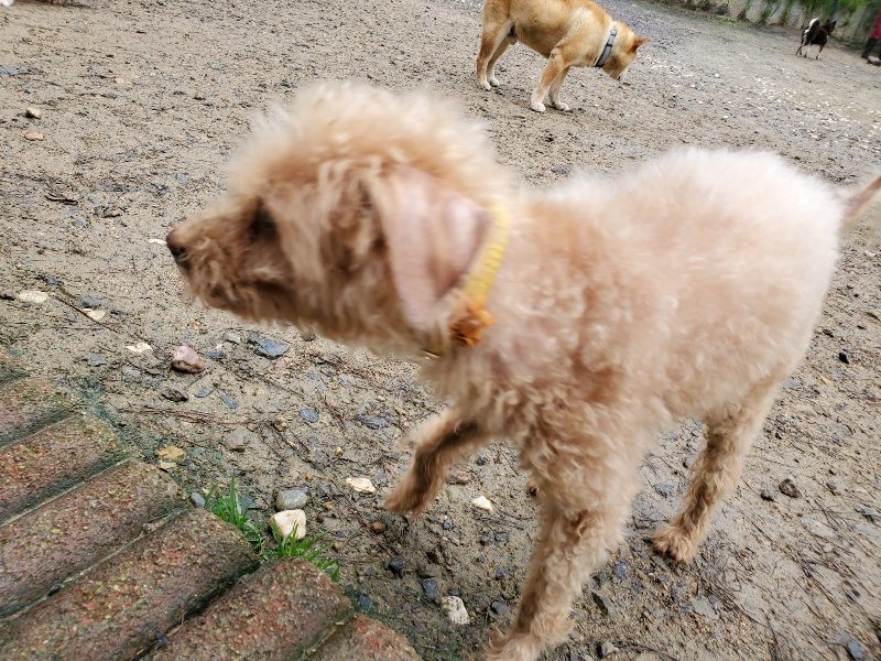 f:id:roukenhome-ann:20191020170726j:plain