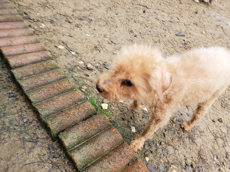 f:id:roukenhome-ann:20191020170743j:plain