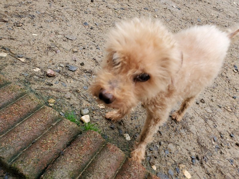 f:id:roukenhome-ann:20191020170752j:plain