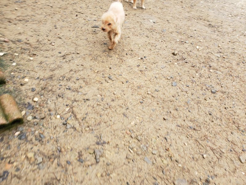 f:id:roukenhome-ann:20191020170814j:plain