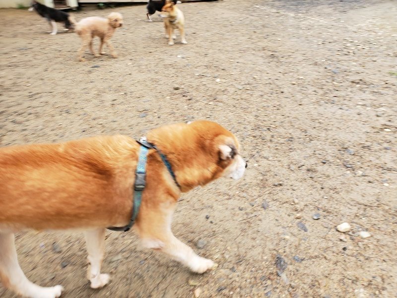 f:id:roukenhome-ann:20191020170828j:plain