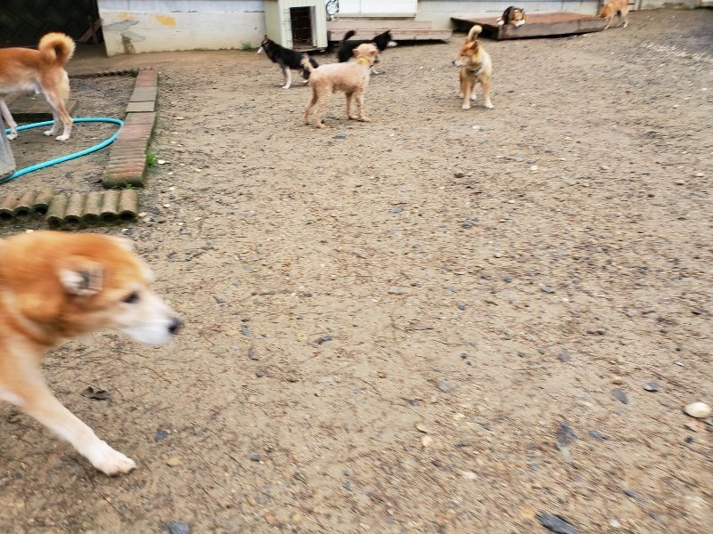 f:id:roukenhome-ann:20191020170837j:plain