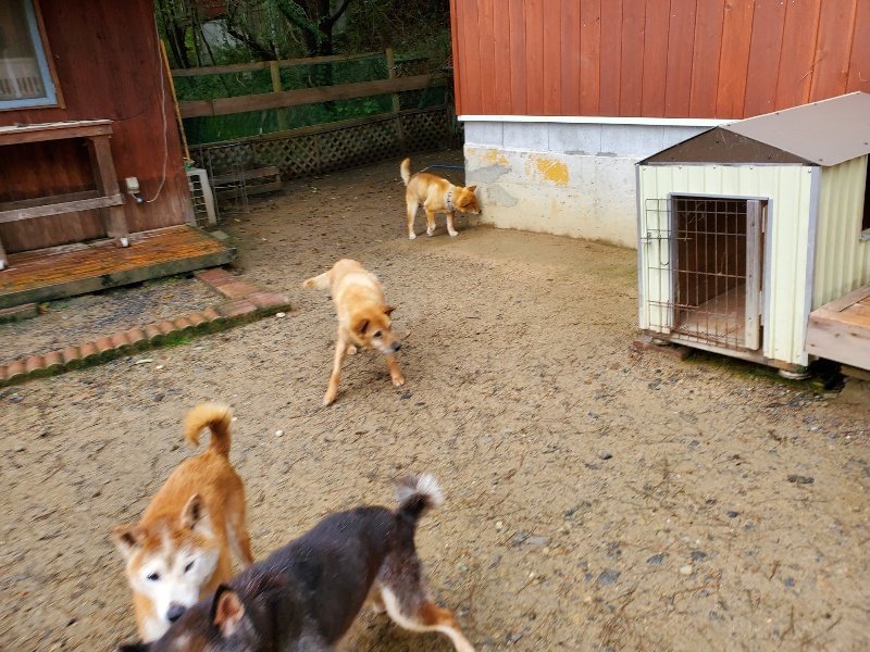 f:id:roukenhome-ann:20191020170931j:plain