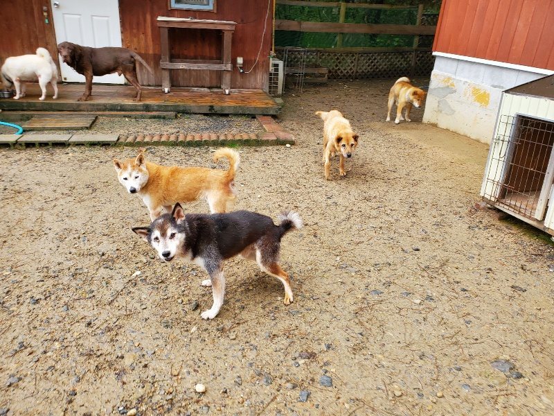 f:id:roukenhome-ann:20191020170952j:plain