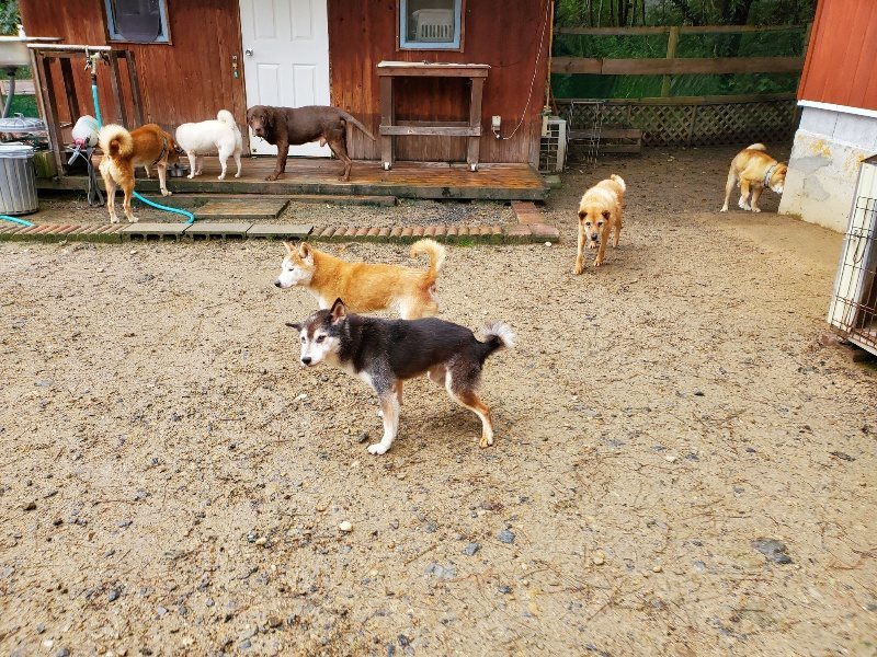 f:id:roukenhome-ann:20191020171003j:plain