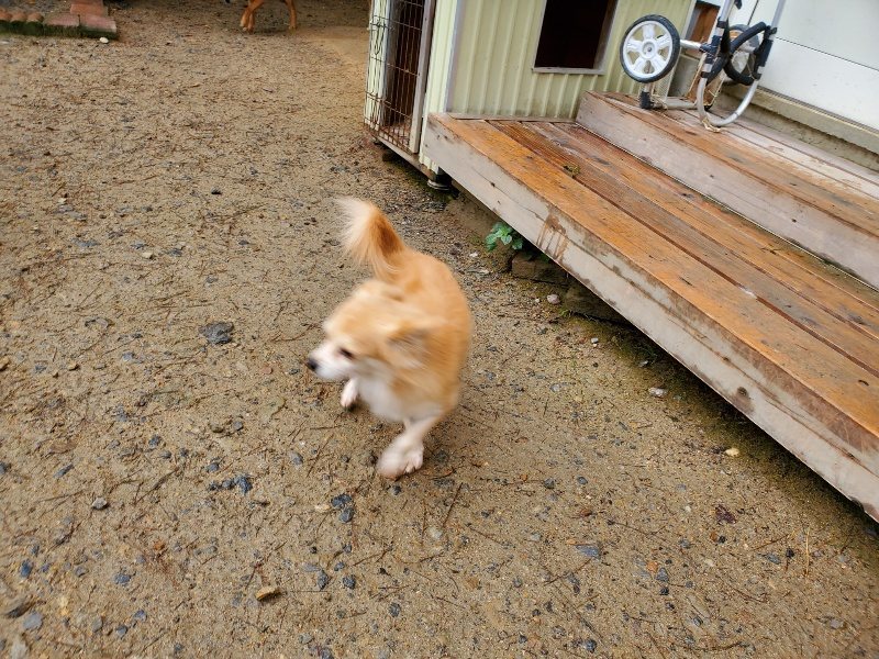 f:id:roukenhome-ann:20191020171027j:plain