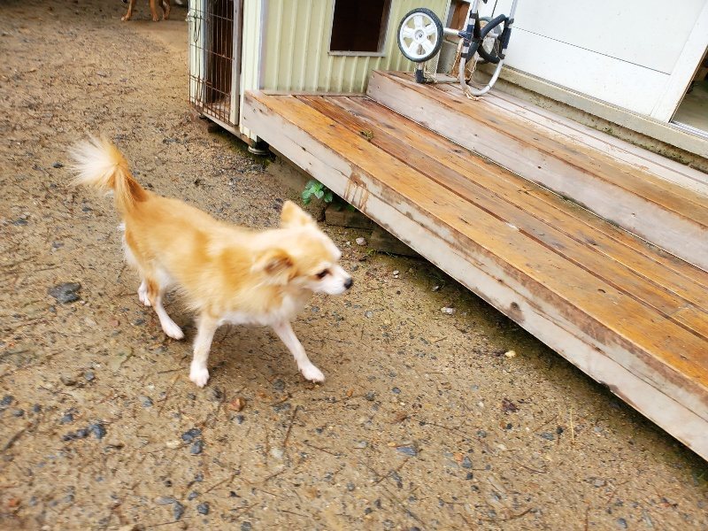 f:id:roukenhome-ann:20191020171038j:plain