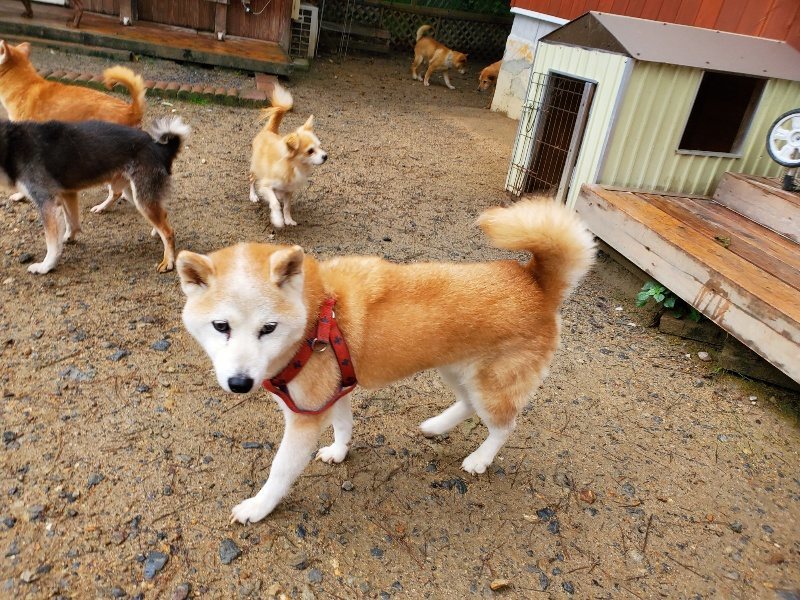 f:id:roukenhome-ann:20191020171043j:plain