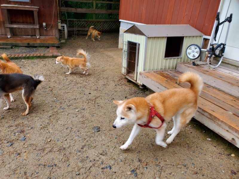f:id:roukenhome-ann:20191020171050j:plain