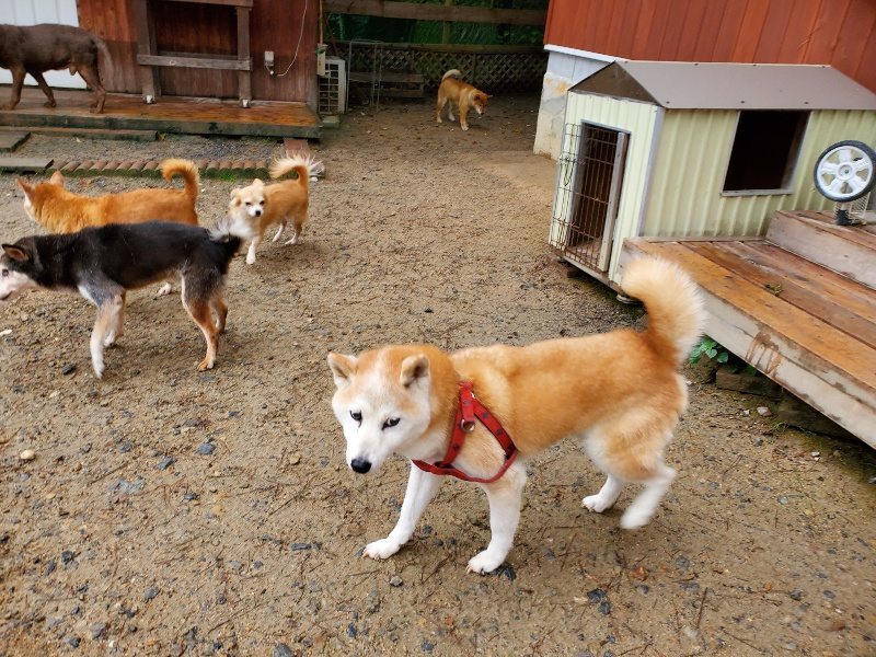 f:id:roukenhome-ann:20191020171102j:plain