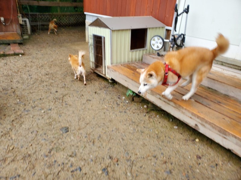 f:id:roukenhome-ann:20191020171113j:plain