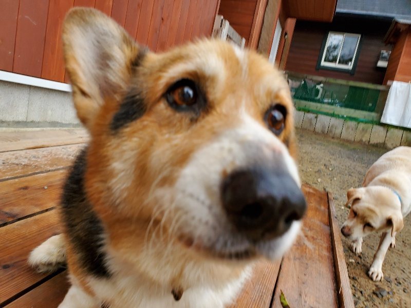 f:id:roukenhome-ann:20191020173231j:plain