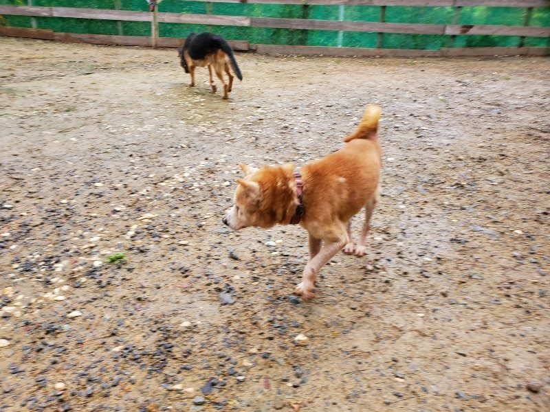 f:id:roukenhome-ann:20191020173302j:plain