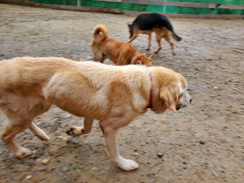 f:id:roukenhome-ann:20191020173320j:plain