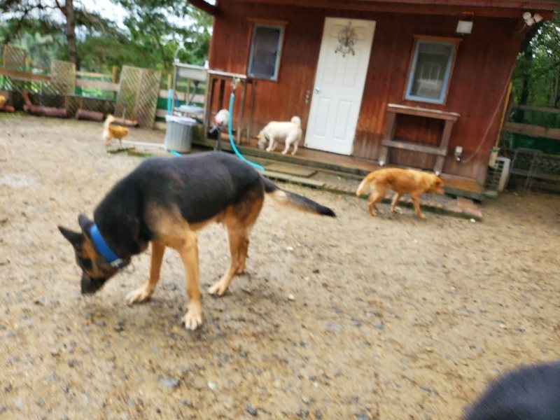 f:id:roukenhome-ann:20191020173343j:plain