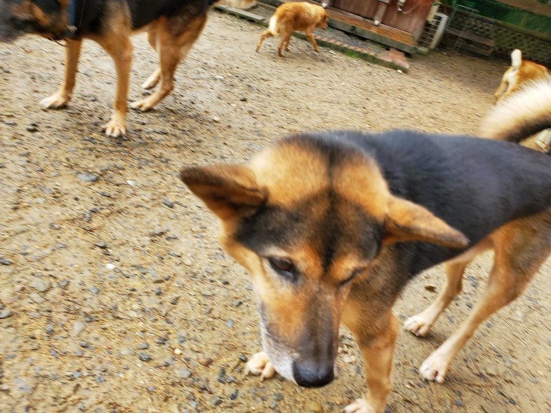 f:id:roukenhome-ann:20191020173405j:plain