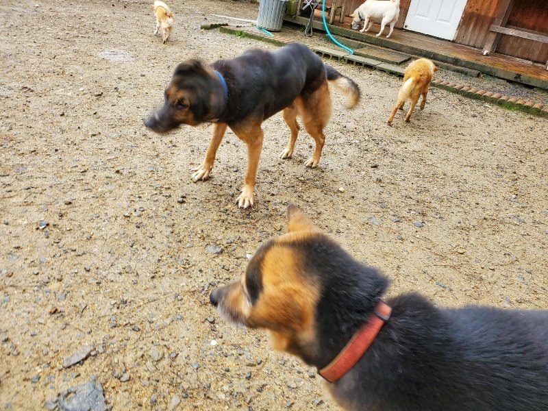 f:id:roukenhome-ann:20191020173433j:plain
