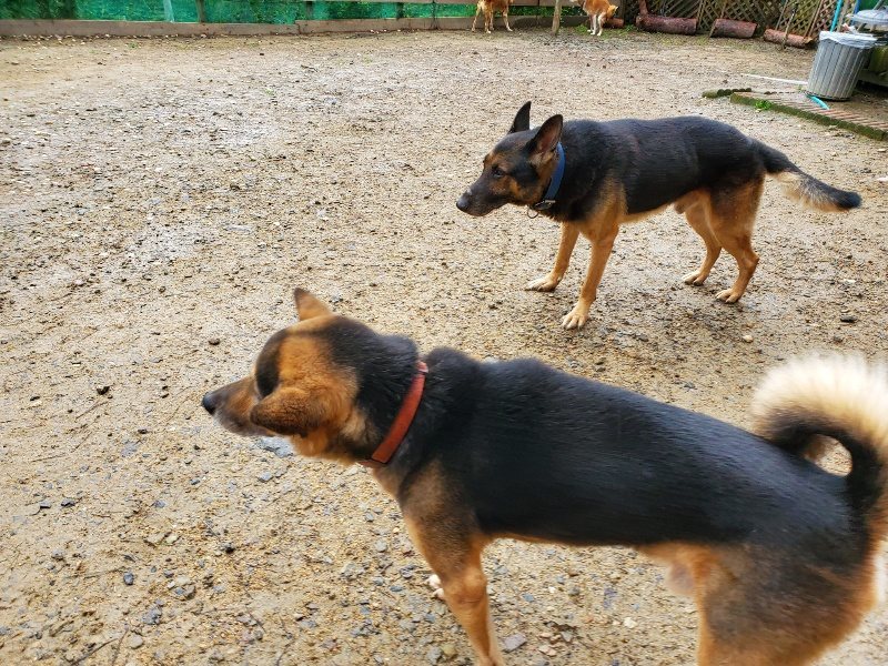 f:id:roukenhome-ann:20191020173441j:plain
