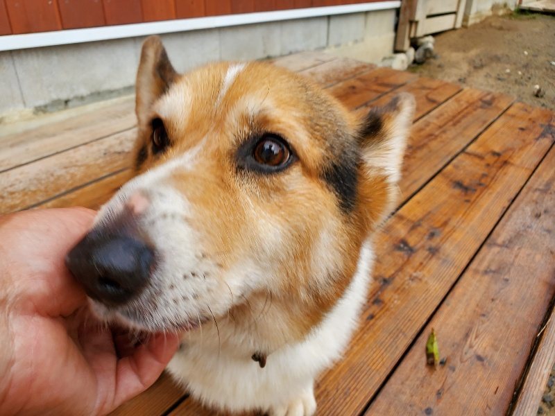 f:id:roukenhome-ann:20191020173505j:plain