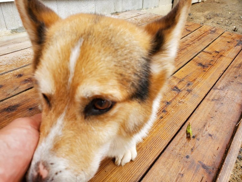 f:id:roukenhome-ann:20191020173525j:plain