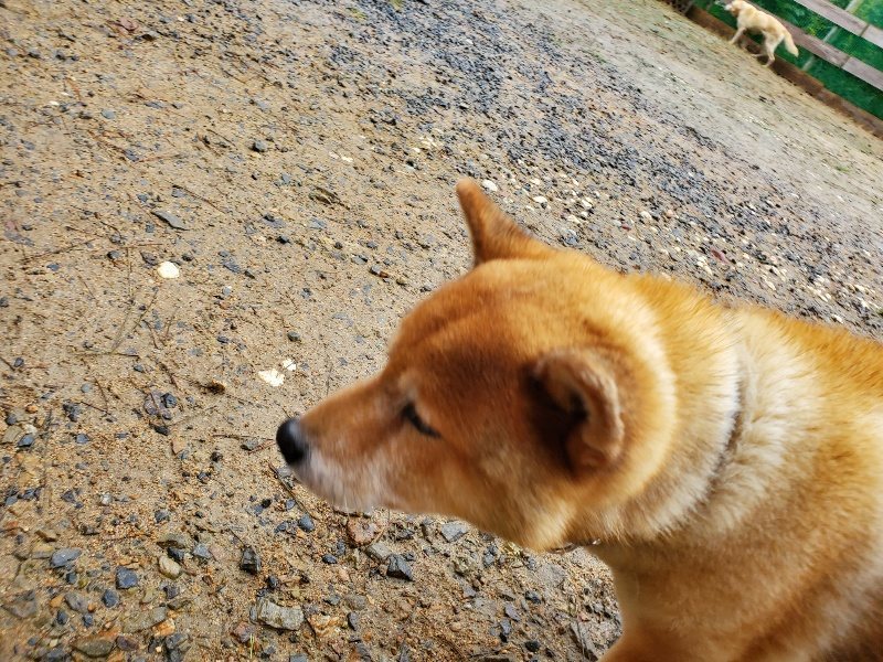 f:id:roukenhome-ann:20191020173534j:plain