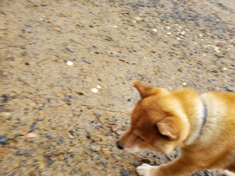 f:id:roukenhome-ann:20191020173549j:plain