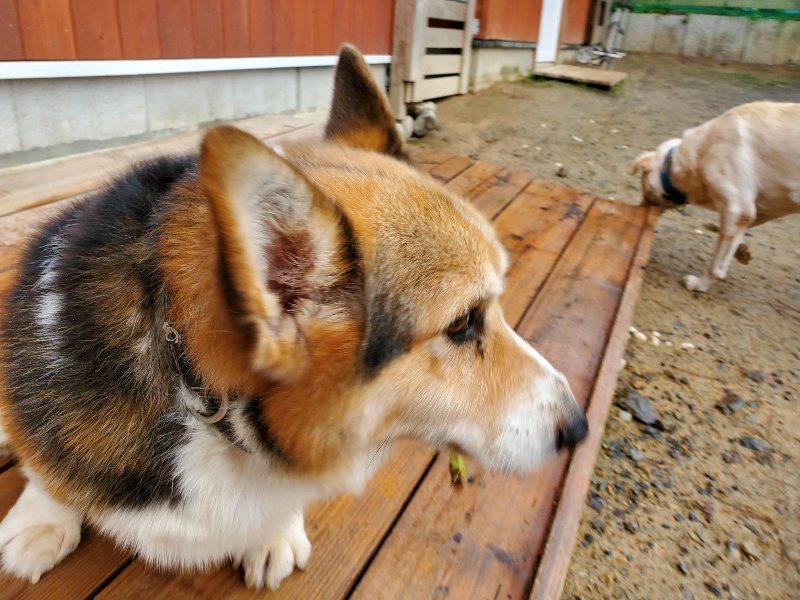 f:id:roukenhome-ann:20191020173558j:plain