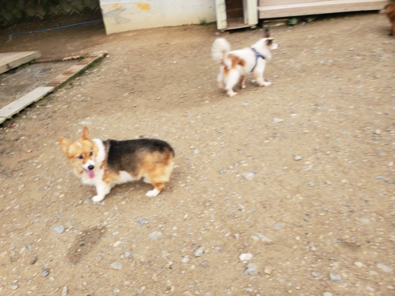 f:id:roukenhome-ann:20191020205141j:plain