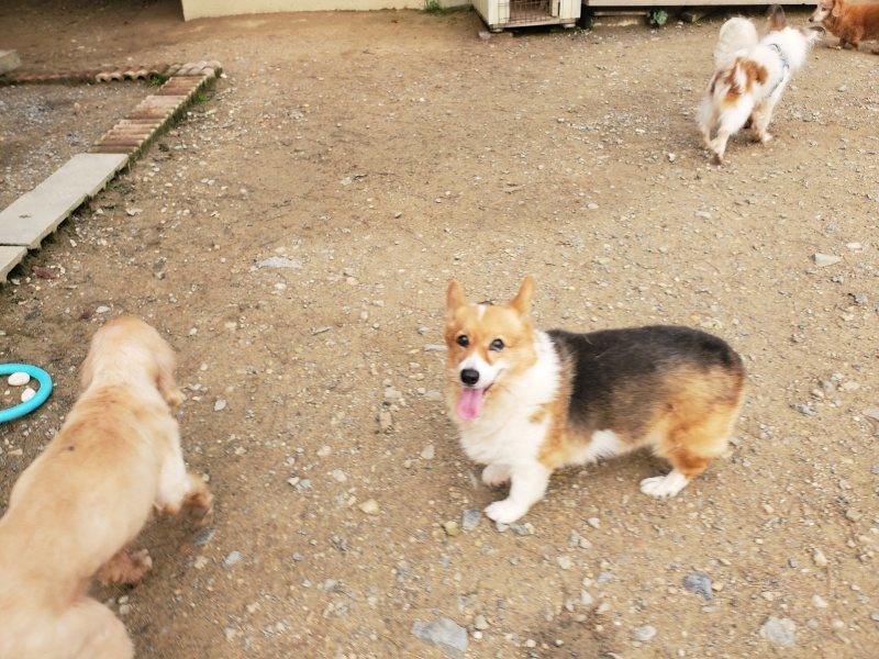 f:id:roukenhome-ann:20191020205156j:plain