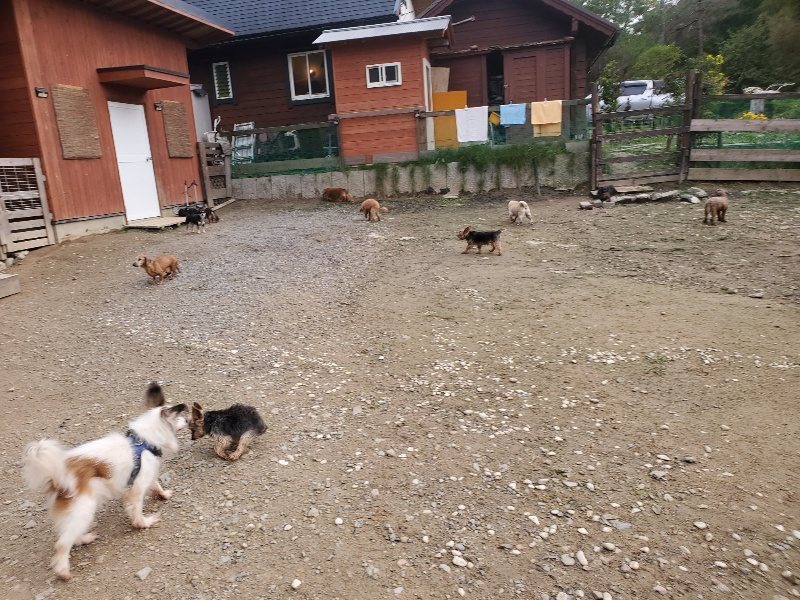 f:id:roukenhome-ann:20191020205212j:plain