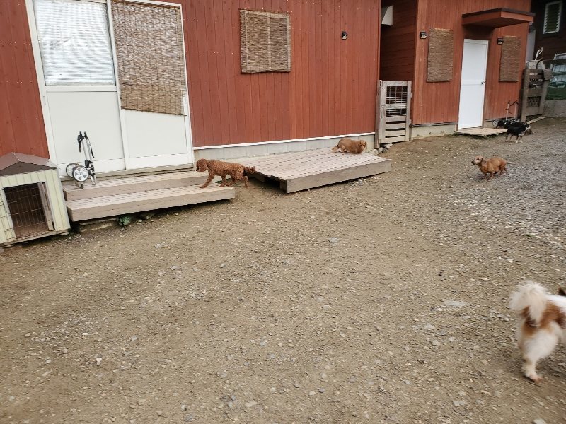 f:id:roukenhome-ann:20191020205232j:plain