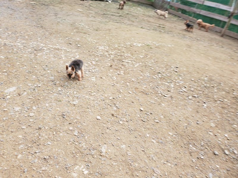 f:id:roukenhome-ann:20191020205259j:plain