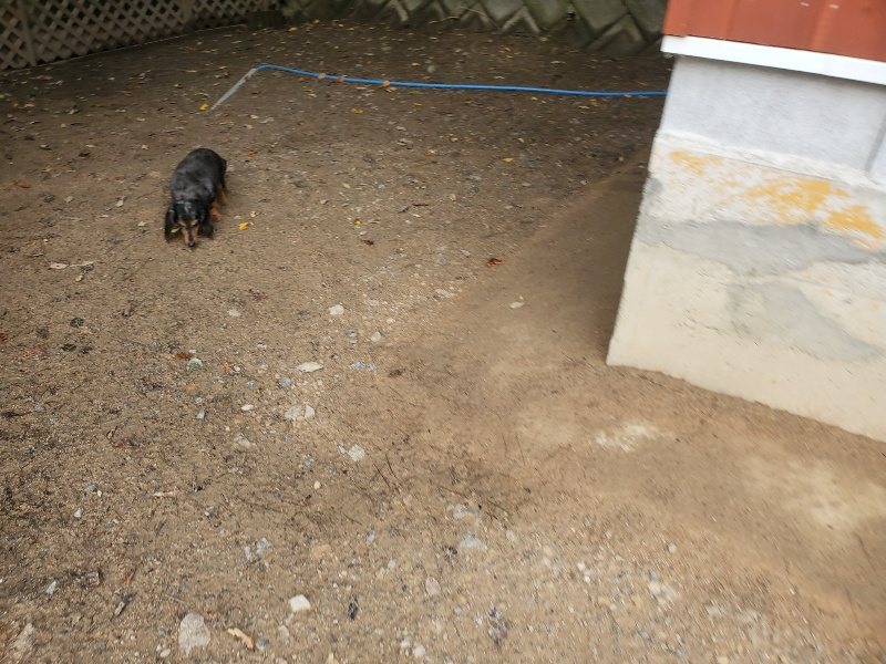 f:id:roukenhome-ann:20191020205425j:plain