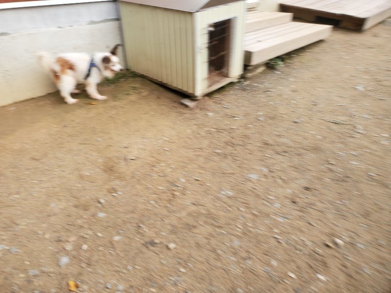f:id:roukenhome-ann:20191020205459j:plain