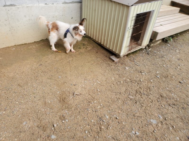 f:id:roukenhome-ann:20191020205508j:plain