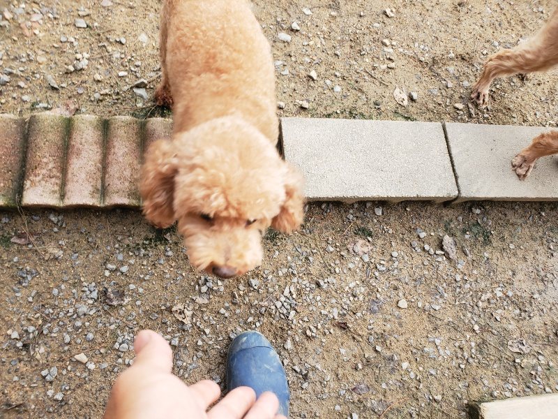 f:id:roukenhome-ann:20191020205528j:plain