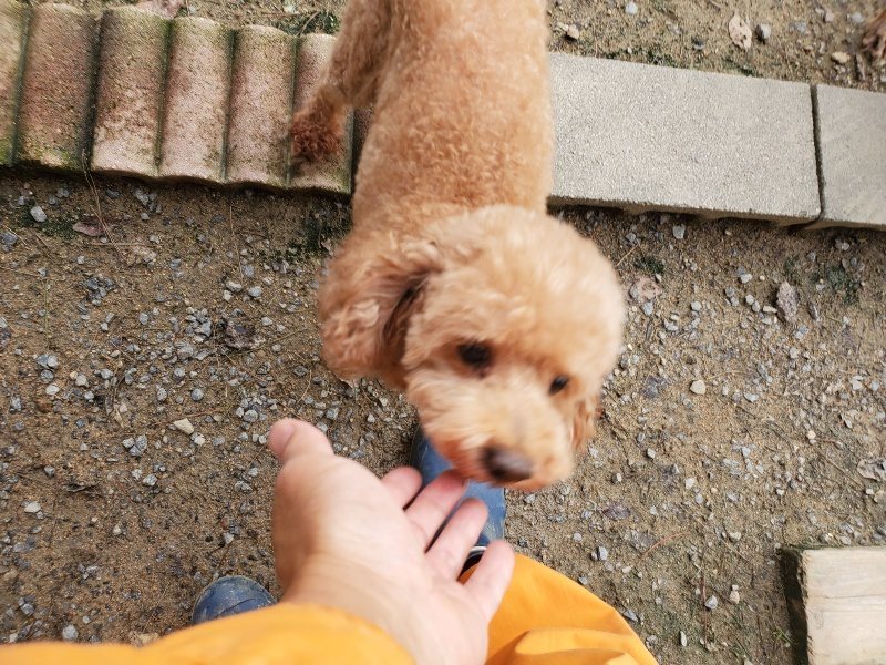 f:id:roukenhome-ann:20191020205548j:plain