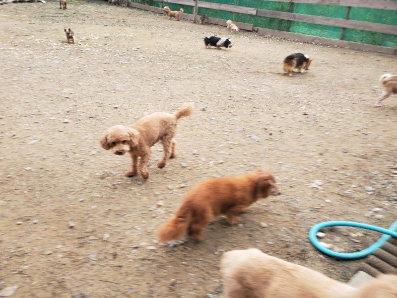 f:id:roukenhome-ann:20191020205612j:plain