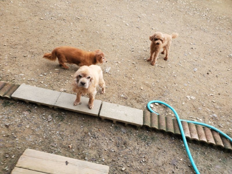 f:id:roukenhome-ann:20191020205619j:plain