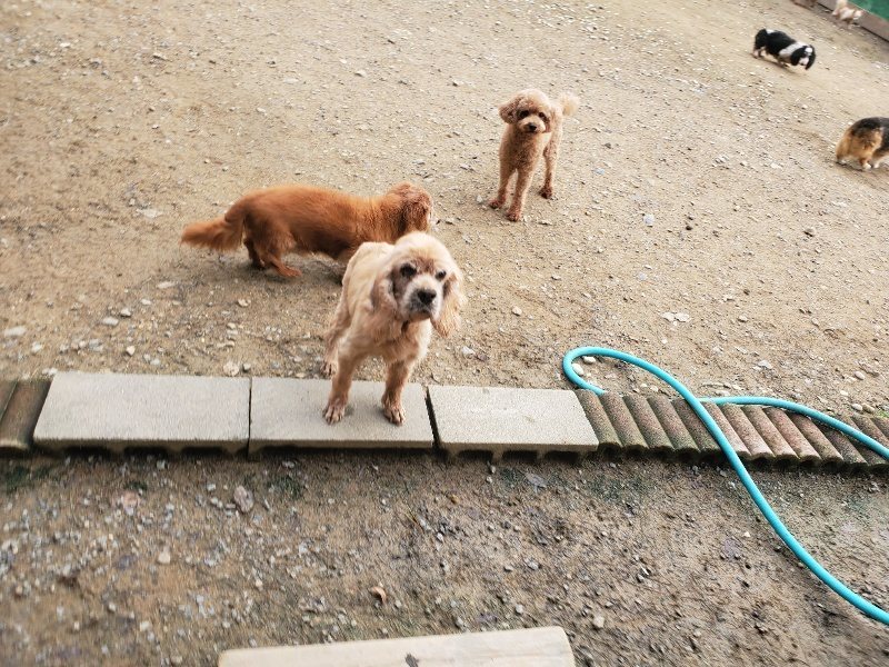 f:id:roukenhome-ann:20191020205628j:plain