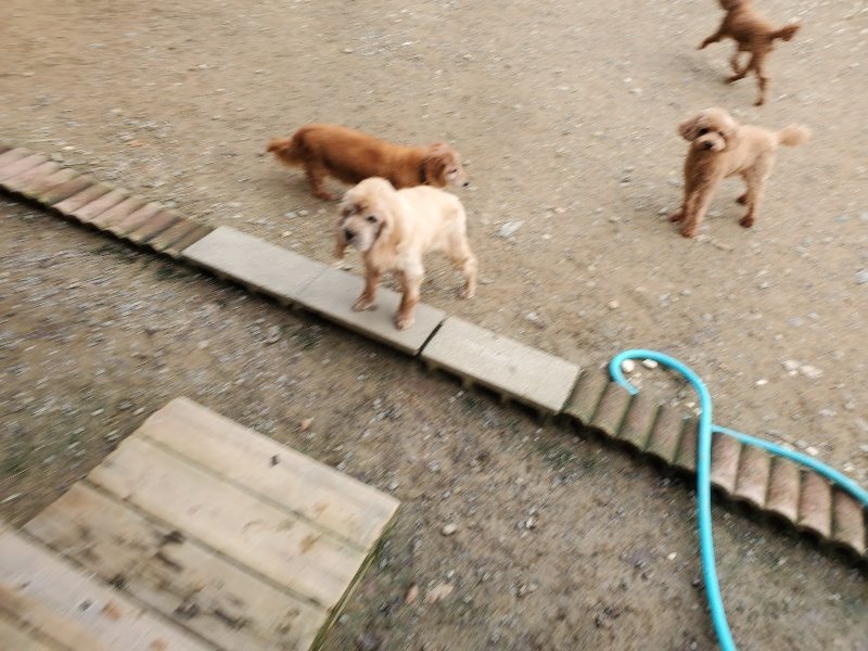 f:id:roukenhome-ann:20191020205633j:plain