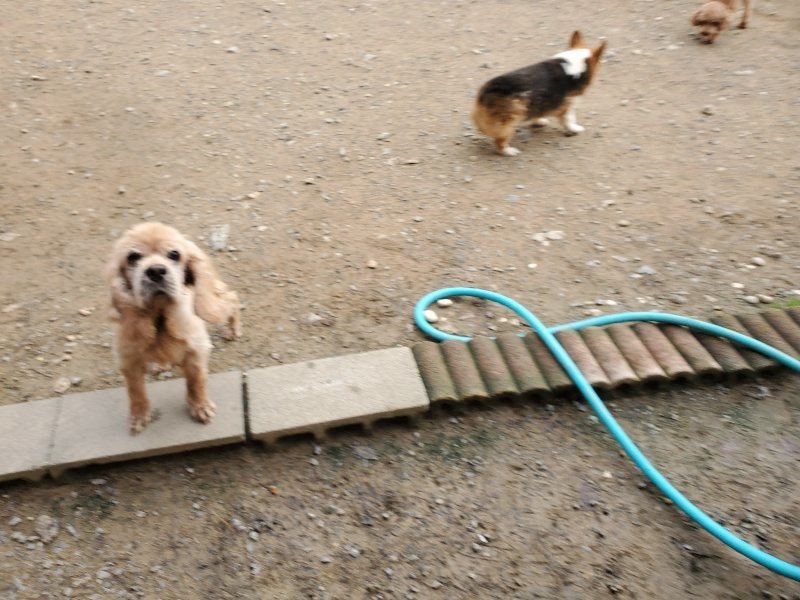 f:id:roukenhome-ann:20191020205649j:plain