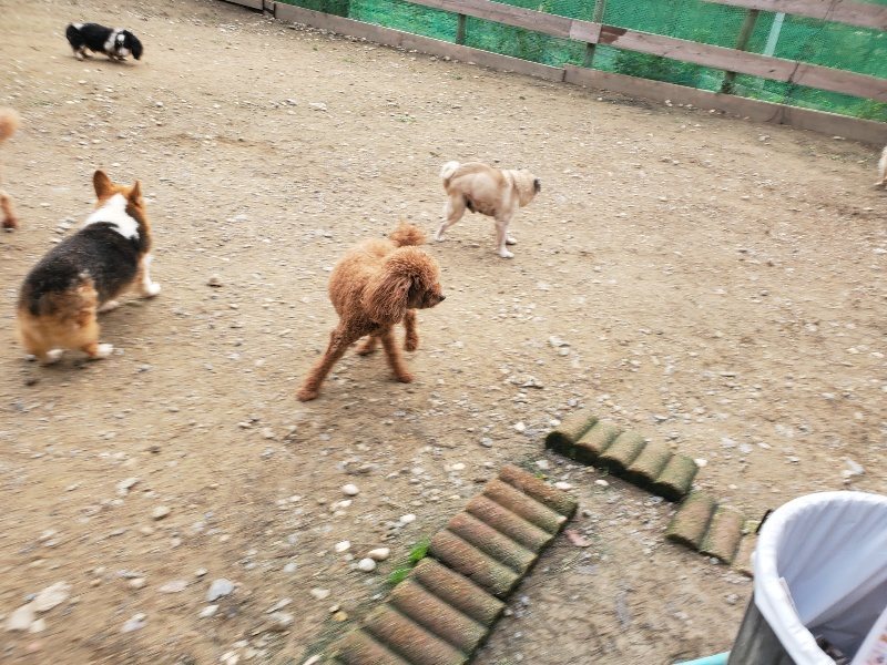 f:id:roukenhome-ann:20191020205702j:plain