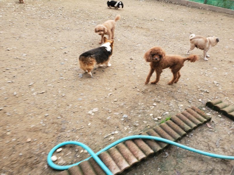 f:id:roukenhome-ann:20191020205708j:plain